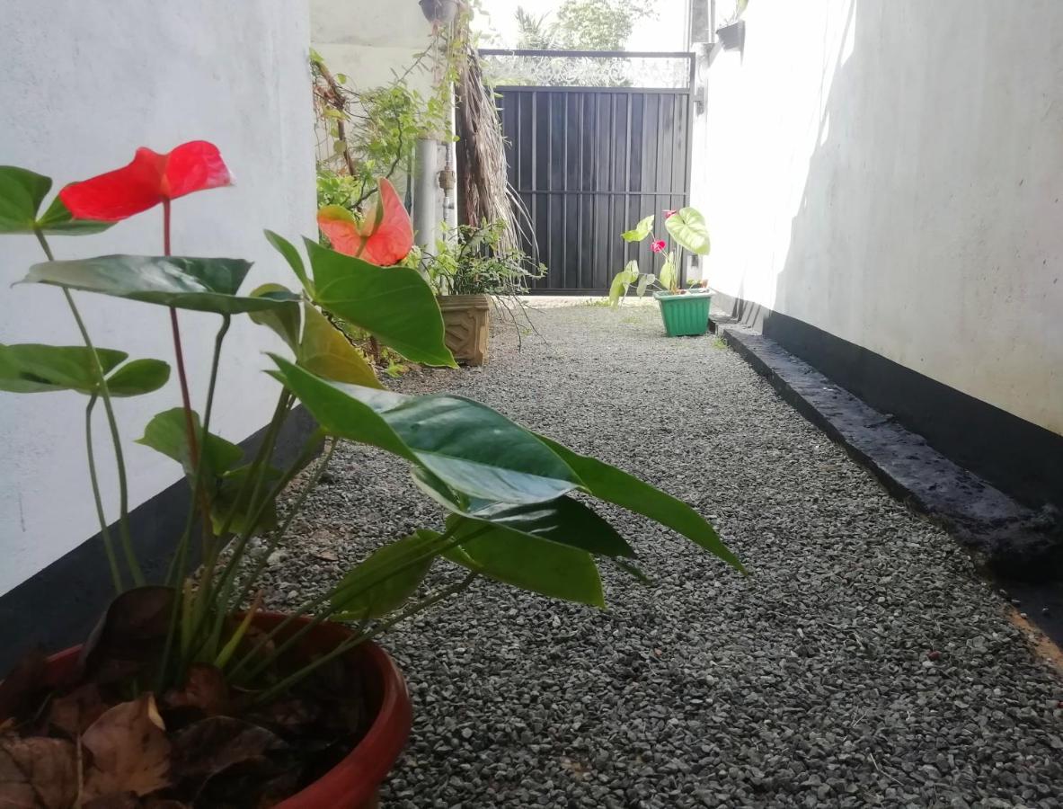 New Coral Garden Weligama Hotel Exterior foto